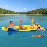 CTSC Floating Mat - Lily Pad - Wate
