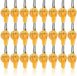 Basketball Whistles for Party Favor, Sports Birthday Supplies (24 Pack)