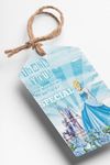 Frozen Princess Theme Thank You Cards & Return Gift Tags - 30Pcs, 2x3.5, 250 GSM Cardstock, Blue (Frozen)