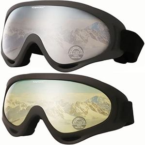 Ski Goggle