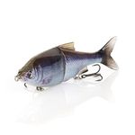 Hard Bait 3D Shine Glide 3'-6' 2 1/3 oz - Hitch