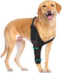 Dog Elbow Protector Brace, Dog Leg 
