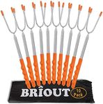 Briout Marshmallow Roasting Sticks 