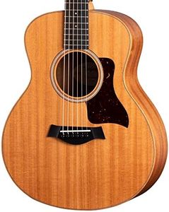Taylor GS