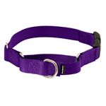 PetSafe Martingale Collar with Quick Snap Buckle, 3/4" Medium, Deep Purple