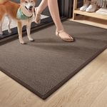 Color&Geometry Small Door Mats Indoor 17"x29"- Anti Slip, Absorbent, Thin, Trap Dirt, Washable, Easy Clean Inside Doormat Rug for House Entrance/Entryway/Entry Floor, Brown (Rolled-up NO Creases)