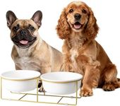 Elevated Dog Bowls for Food and Water - Double Ceramic Bowls with Metal Stand - Raised Feeding Station for Small and Medium Dogs - Each Holds 600ml / 3.2 Cups (Approx. 320g) - White