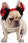 QYCX Halloween Pet Costume, Hallowe