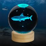 ZXBLAQ 3D Shark Crystal Ball Night 