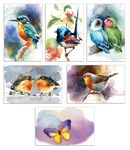 Better Office Products 50-Pack All Occasion Greeting Cards Box Set, 4 x 6 inch, 50 Assorted Blank Note Cards & 50 Envelopes, 6 Butterfly & Birds Designs, Blank Inside, 50 Pack