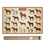 EuroGraphics Horses Poster 36 x 24 inch