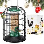 iBorn Squirrel Proof Bird Feeders – Hanging Wild Bird Feeder for Mix Seed Blends, Sunflower Heart, Heavy Duty All Metal Anti-UV Finishing, 8 Inch Green BirdFeeder, for Bird Lovers