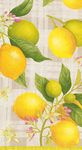 Caspari Entertaining with Citron Guest Towel, Paper, Yellow, 11 x 20 x 3 cm