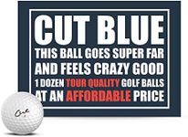 Cut Blue Golf Balls, 4 Piece Urethane (One Dozen)