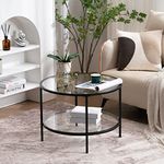 VINGLI 25.6" Round Black Coffee Tables for Living Room, 2-Tier Glass Top Coffee Table with Storage Clear Coffee, Simple & Modern Center Table for Small Space