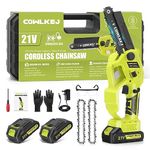 Ryobi Chainsaws