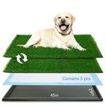 Oiyeefo Dog Grass pad with Tray,45”x 29” Indoor Dog Potty with 2 Packs Replacement Artificial Fake Grass-5 Packs Disposable Puppy Pads,for Puppy Training Apartment,Outdoor Use