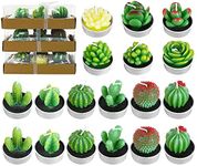 18PCS Cactus Tealight Candles Set, 