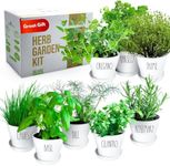 Deluxe Herb Garden Kit - 8 Variety Herbs for Indoor & Outdoor – Get Growing with Pots, Potting Soil for Window Herb Garden. (8 Herb)