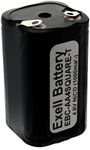 Exell Battery Custom 4.8V 1000mAh NiCd 4xAA Square Battery Pack with Tabs