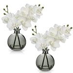 Hollyone 2pcs Artificial White Orchid Flower in Vase, Small Fake Orchid Plant with Glass Vase, Decorative Faux Phalaenopsis for Wedding, Centerpiece, Home Decor, Living Room, Bathroom Decorations