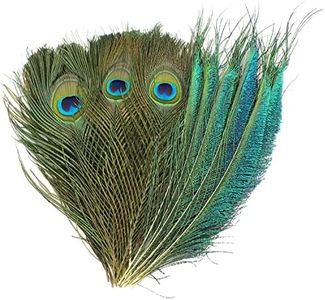MWOOT 40 Piezas Plumas Pavo Real Naturales, 20-25CM Plumas Decoracion Manualidades para Bricolaje Carnaval Mascarada Partido Disfraz Vintage Cabello Accesorios, Plumas Arte Proyecto Hechas a Mano
