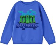 Minecraft Creepers Walking with Clouds and Shadows Youth Boys Royal Blue Long-Sleeve Tee-Small