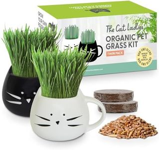 The Cat La