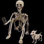 Skeleton Man and Skeleton Dog