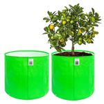 Anandi Green's HDPE Uv Protected 260 GSM Round Green Colour Plants Grow Bags Suitable for Terrace and Vegetable Gardening Size 18x18 Inch Pack of 2