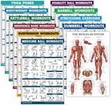 11 Pack - Exercise Poster Set: Dumbbell, Suspension, Kettlebell, Resistance Bands, Stretching, Bodyweight, Barbell, Yoga, Exercise Ball, Muscular System, Medicine Ball (Laminated, 18" x 24")