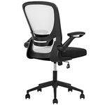 Office Chair Desk Chair Computer Chair with Lumbar Support Flip-up Arms Swivel Rolling Executive Task Chair Mesh Adjustable Ergonomic Chair for Adults(White)