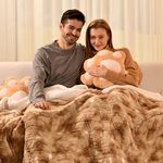 Bearhug Heated Blanket Twin Size 62" x 84" Single Controller Electric Blanket, Velvet/Sherpa, 10 Heating Levels & 1-12H Auto Off, Over-Heat Protect, ETL, Machine Washable