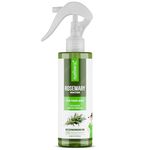 Nuatrafol Rosemary Water Spray For Hair Growth | Hair Spray 100% Pure & Natural | Rosemary Hair Mist | Adds Shine | Helps Reduce Hairfall | Strengthens Hair | All Hair Types (100ml Pack Of 01)