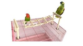 Play Stand For Birds