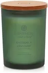 Chesapeake Bay Candle® Escape + Dis