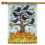 Toland Home Garden Crows N Jacks House Flag 109644