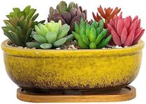 Succulent Pots, 7.9 Inch Long Recta