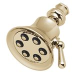 Speakman S-2254-PB Retro Anystream High Pressure Adjustable 2.5 GPMSolid Brass Shower Head, Polished Brass