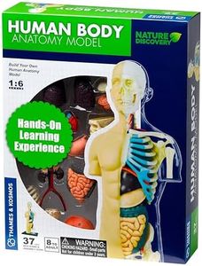 Thames & Kosmos 260830 Anatomy Model, 37 Parts with Stand and Guide Book, Build Your own Human Body, Nature Discovery Range, Ages 8 to Adult, Multi