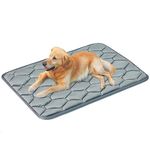 Cot For Dog Crate