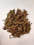 CAPPL 5 Kg Sphagnum Moss for Healthy Plant Growth and Moisture Retention