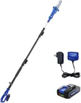 WILD BADGER POWER Cordless Pole Saw 20V 8'' Electric 2.0Ah with Telescoping Pole, 0° to 30° Adjustable Head, Battery and Charger included