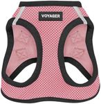 Best Pet Supplies, Inc. Voyager Step-in Air Dog Harness - All Weather Mesh, Step in Vest Harness for Small and Medium Dogs