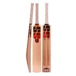 SS KW0189 Soft Pro Player Scoop with Fiber Kashmir Willow Cricket Bats (Size: Short Handle)