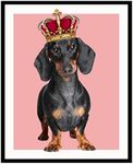 Roxbury Row Dachshund Decor | Dachshund Gifts for Women, Weiner Dog Gifts for Women, Daschund Gifts for Women | Birthday Dachshund Party Decorations, Christmas Gift Dachsund Lover | (Unframed)