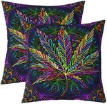 Feelyou Marijuana Weed Leaf Throw Pillow Covers for Couch Sofa Bed,Set of 2 Cannabis Leaves Decorative Pillows Cushion Covers,Botanical Plants Print Colorful Pillow Inserts Not Included,18x18 inch