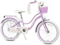 Bixike Princess Style Girls Bike with Basket for 2-13 Years Old Kids and Toddlers, 12 14 16 18 Inch Bicycle for Children with Training Wheels and Streamers, 20 Inch with Kickstand, Multiple Colors