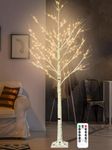 Outdoor Tree Lights For Summer