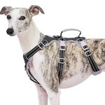Huntboo Escape Proof Dog Harness, No Pull Reflective Harness with Lift Handle, Adjustable Pet Vest with Front and Back Leash Clips for Small Medium Large Dogs Walking Hiking Training (Black,XL)